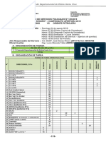 Plan de Operaciones Policiales PDF