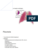 Patologie Pleurala