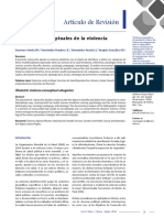 Categorias Conceptuales de La Violencia Obstetrica PDF