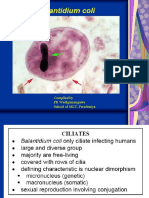 Balantidium Coli: Compiled by PB Wadigamangawa School of MLT, Peradeniya