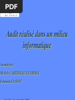 Audit Dans Milieu Informatique