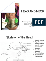 Anatomy of Head and Neck