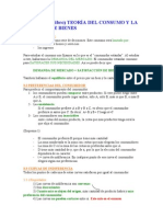 Economia Tema 2 - Teoría de La Demanda y El Consumo de Bienes