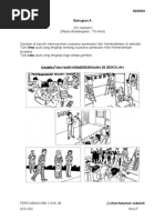 Upsr Perc SJK BM K2 BHG A1