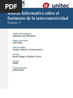 Boletín Informativo Sobre El Fenómeno de La Interconectividad