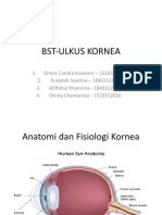 Crs Ulkus