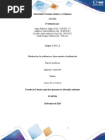 Paso 2 - Seleccionar Empresa y Realizar El Plan de Auditoría