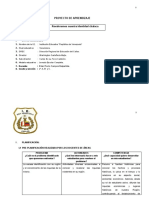 PROYECTO DE APRENDIZAJE 2019 - Individual