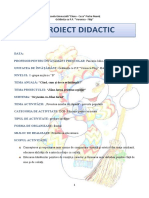 Proiect Didactic Dosed Societate Grad I