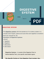 Digestive System