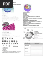 Taller D El Nucleo