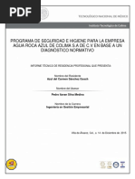 Programa de Hy Seguridad de Una Empresa PDF