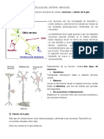 Células Del Sistema Nervioso