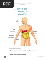 Actividad Receso Escolar Biologia