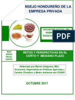 SITUACIÓN ACTUAL DE LOS GRANOS BASICOS EN HONDURAS (Noviembre de 2017)