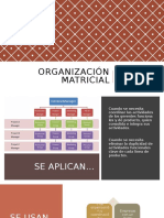 Organización Matricial