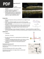 Principio Físico y Tecnologías de La OCT