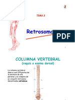 Tema 3 Retrosoma