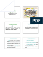 Ciclo Biogeoquímico - Resumo