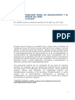 La Responsabilidad Penal de Adolescentes y El Interés Superior Del Niño