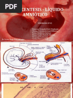 Liquido Amniotico Expo