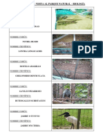 Fauna de La Selva Peruana PDF