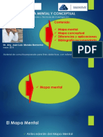 Libro Mapa Mental y Conceptual