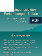 Gametogenesis Copi