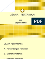 Usaha Pertanian