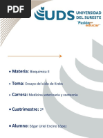 CICLO DE KREBS ENSAYO Tarea PDF