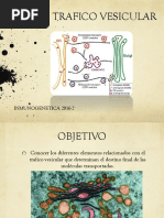 12.trafico Vesicular PDF