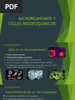 Microorganismos y Ciclos Biogeoquimicos