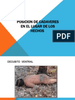 Posicion de Cadaver