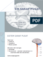 Histologi Sistem Saraf Pusat