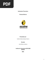 Actividad Indicadores Financieros