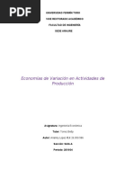 Economías de Variación en Actividades de Producción