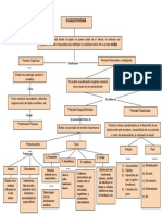Mapa Cocneptual Esquizofrenia