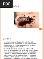 Mal de Chagas