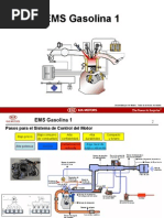 EMS Gasoline 1