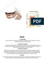 Structura Dintelui 