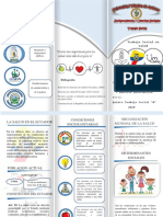 Triptico La Salud Del Ecuador y Factores Sociosanitarios