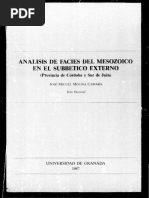 Análisis de Facies Del Mesozoico en El Subbético (TESIS Molina) PDF