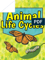 Animal Life Cycles