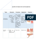 Cuadro Portafolio 1