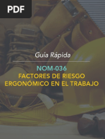 Guia NOM-036 PDF