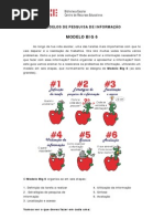 1 - Modelo de Pesquisa BIG 6 - Teoria