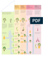 Alegoría Del Olivo PDF