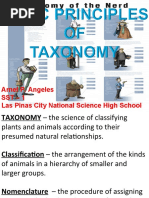 Basic Principles of Taxonomy