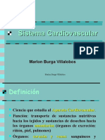 Sistema Cardiovascular