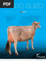 Catalogos Toros Brown Swiss Evolution International 2019